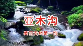 轩辕剑外传汉之云
