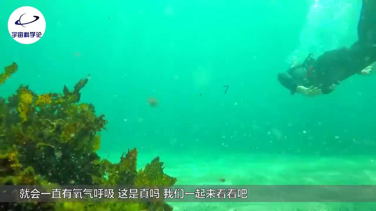 福莱纳找车轮