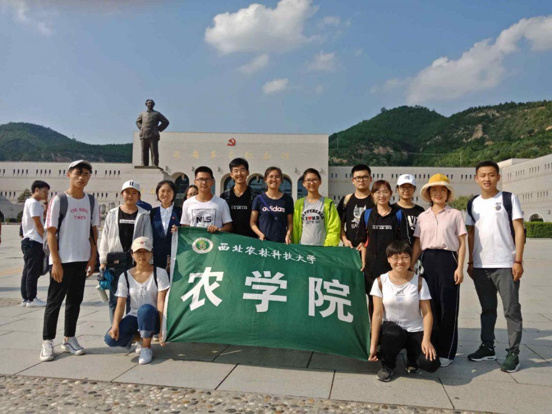 动物帮帮忙保卫家园